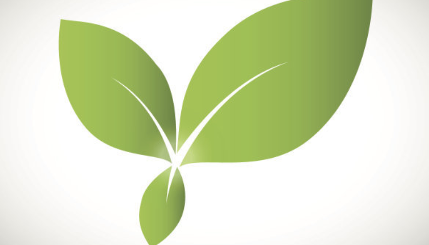 logo标志设计